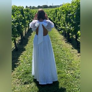 Anthropologie Backless Linen Jolin Dress